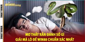 Mơ Thấy Rắn Đánh Số Gì Giải Mã Lô Đề Win88 Chuẩn Xác Nhất