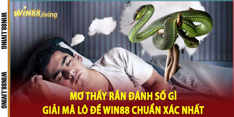 Mơ Thấy Rắn Đánh Số Gì Giải Mã Lô Đề Win88 Chuẩn Xác Nhất